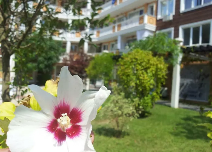 Aria Complex サニービーチ